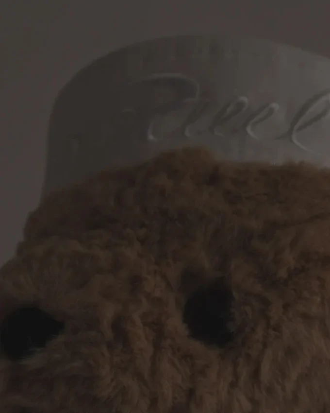 Η Nana Bear
